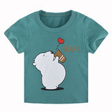 Boys short sleeve T-shirt